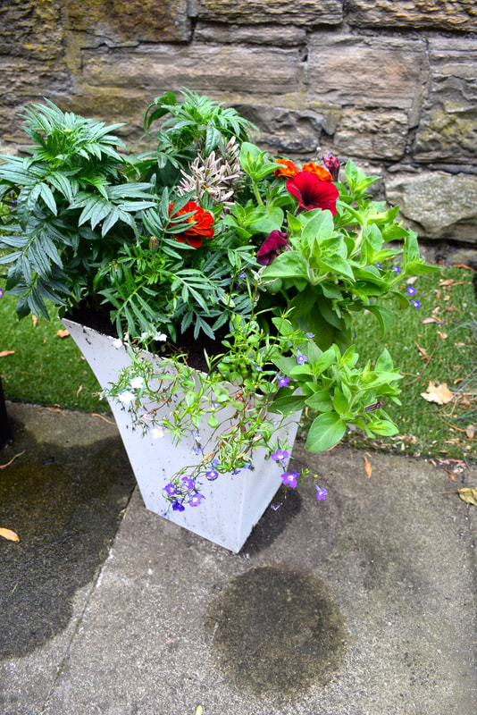 Buy flared garden pots online from JDS Gardening