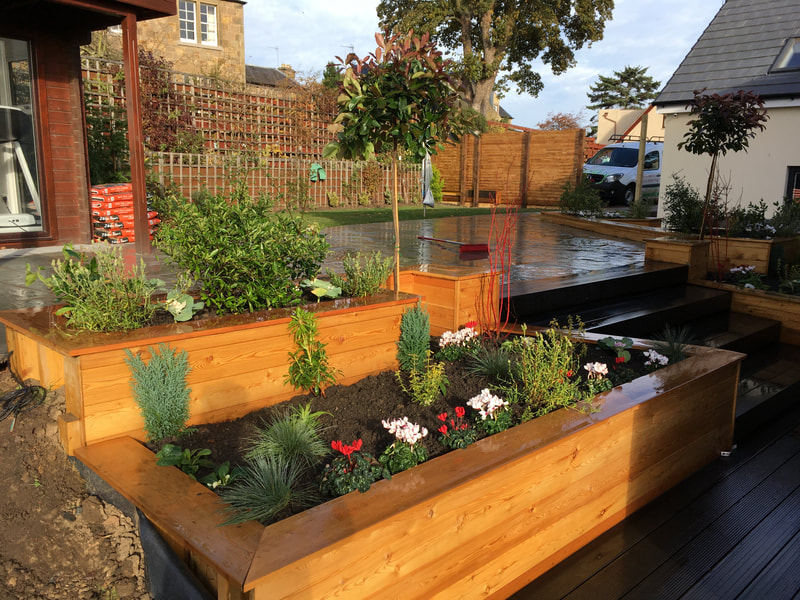 Raised bed planting in Edinburgh by JDS Gardening Services, click here for a quote