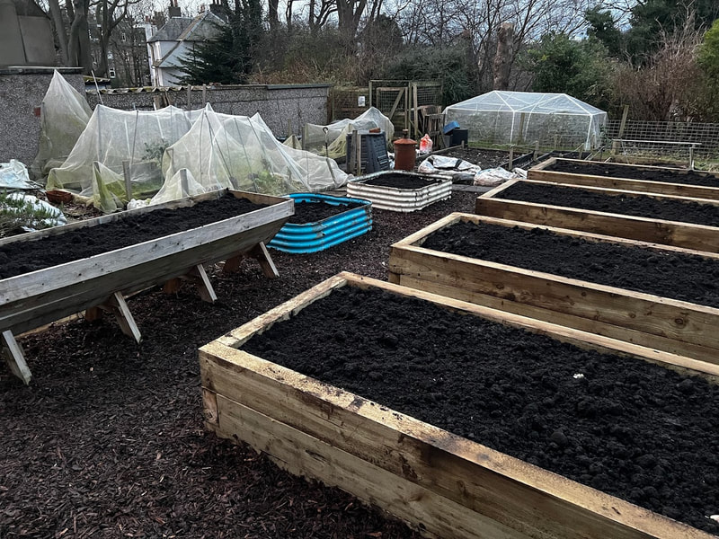 Raised beds installed in Edinburgh by JDS Gardening Services, click here for a raised bed installation quote in Edinburgh, East Lothian and Midlothian from JDS Gardening
