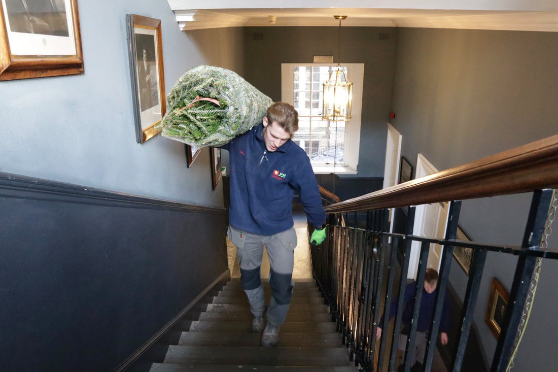 Click and read about the JDS Christmas tree delivery service in Edinburgh and Glasgow