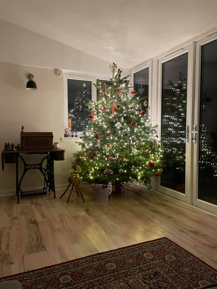 Would you like a real Christmas Tree delivered in Glasgow or Edinburgh? click here and order a Christmas Tree delivery online in Scotland