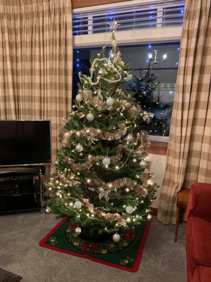 Would you like a real Fraser Christmas Tree delivery in Glasgow or Edinburgh, click here and order a Farser Christmas Tree delivery online in Scotland