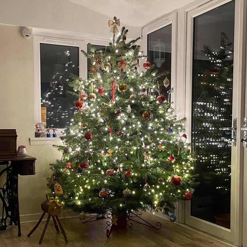 Would you like a real Nordmann or Fraser Fir Christmas Tree delivered in Glasgow or Edinburgh, click here and order a Christmas Tree delivery online in Scotland