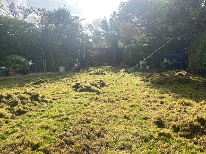Does your garden lawn need overseeding? contact JDS Gardening in Edinburgh for a lawn overseeding quote in the Edinburgh area