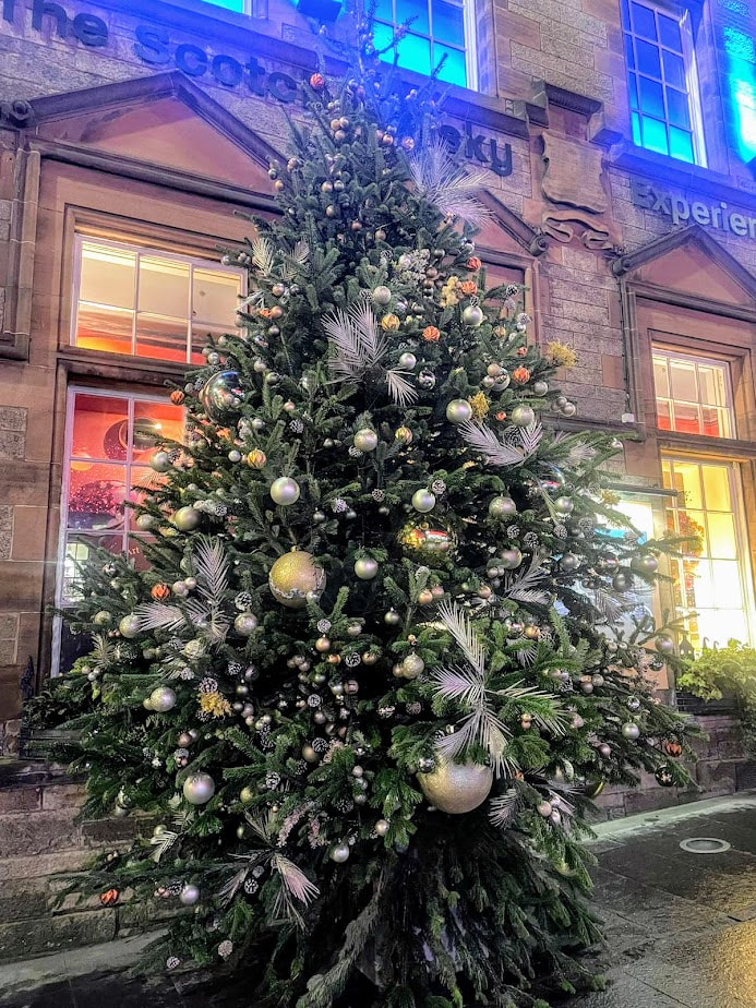 JDS are Edinburgh's number 1 Christmas Tree installation company, click here and order a real Christmas Tree and installation in the Edinburgh area