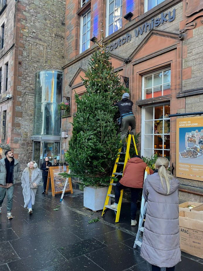 Real Christmas Trees supplied and installed in Scotland by JDS Gardening, click here for a commercial Christmas Tree installation quote