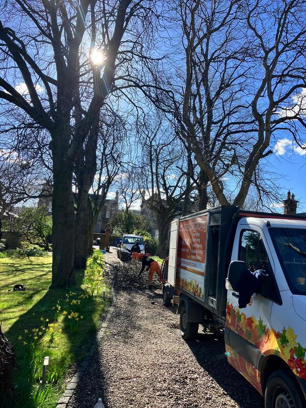 Do you need tree branches trimmed back? call JDS Gardening or click here and book tree surgery online in Edinburgh